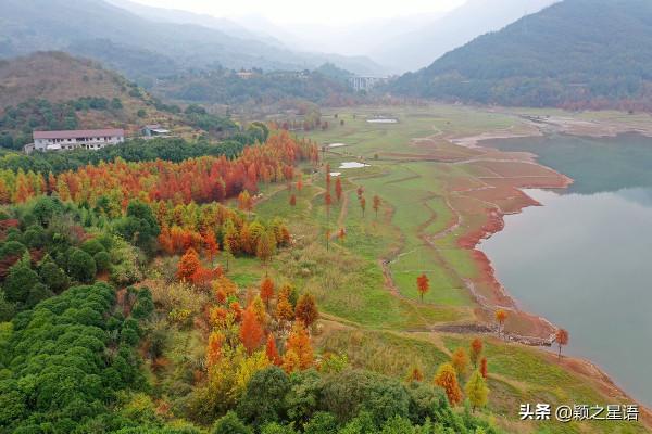 寧波13處紅杉林交通攻略,文明出行,風景更美好 寧波13處紅杉林交通攻略,文明出行,風景更美好