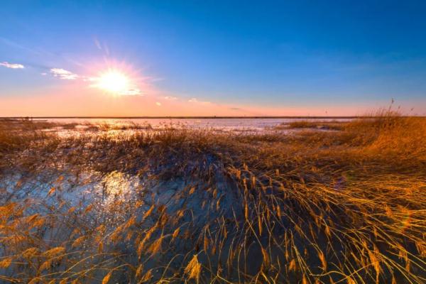 北大荒深處，有顆“綠海明珠”！你來過嗎