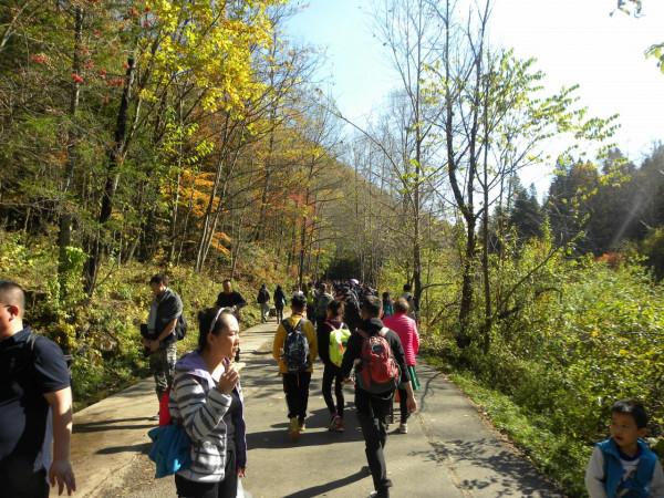 自駕長白山十五道溝風景如畫,美不勝收 自駕長白山十五道溝風景如畫,美不勝收