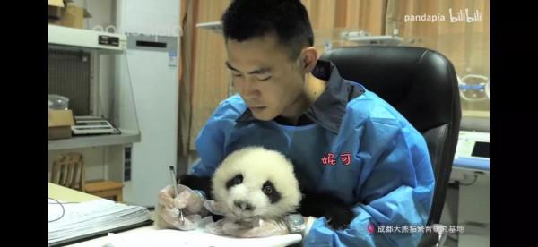 任性飼養員 任性飼養員