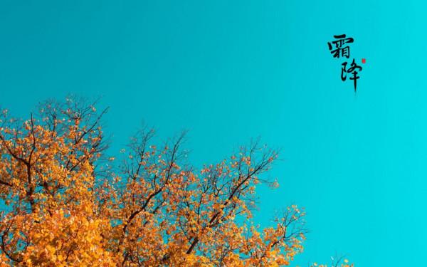 霜降:此歲將暮,淡暖清歡,人間至此秋色盡,草木搖落露為霜 霜降:此歲將暮,淡暖清歡,人間至此秋色盡,草木搖落露為霜