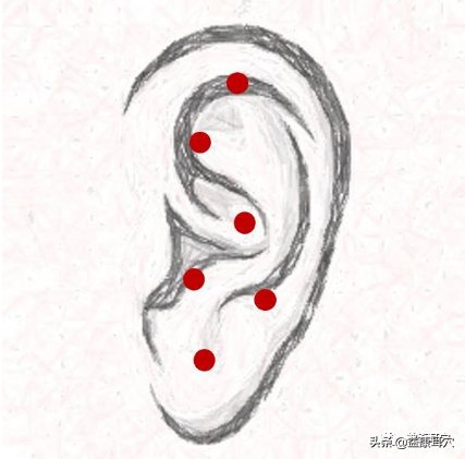 益康耳穴：中醫耳穴療法