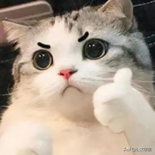 年輕人春節應對親戚指南，拿走不謝