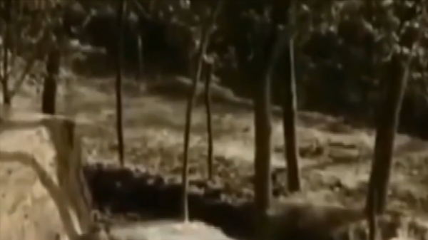 1985年小村莊挖出大型墓葬群，陪葬品價值連城，距今已經5300多年