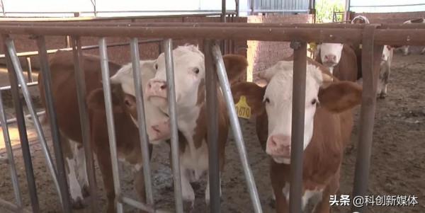 和順“三步先行”蓄能“省校合作”新高地