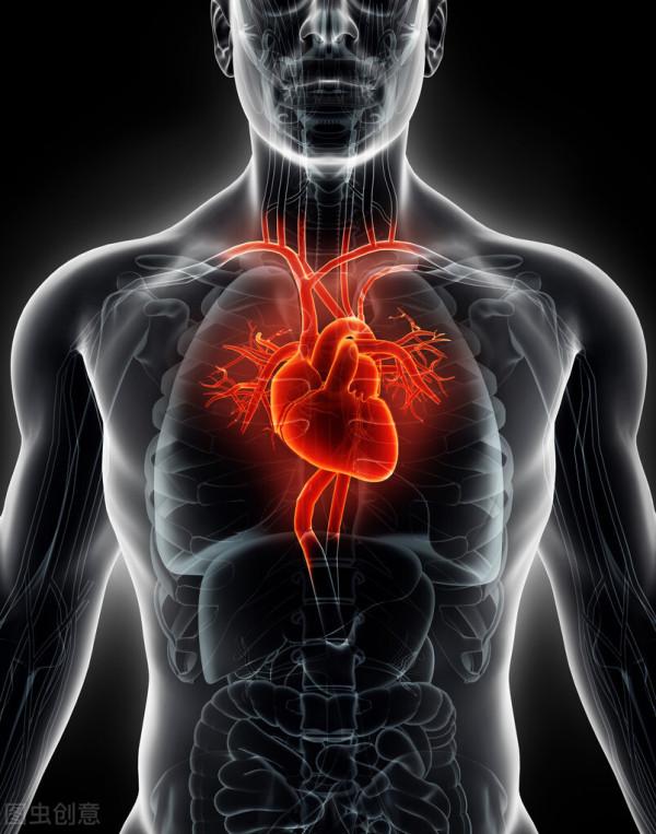 低壓升高，怎麼治療？心血管醫生：這1類有效