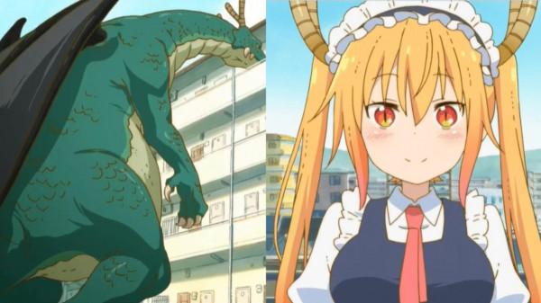 二次元動物進化論,連大猩猩都是潛力股,惡龍秒變軟萌少女 二次元動物進化論,連大猩猩都是潛力股,惡龍秒變軟萌少女