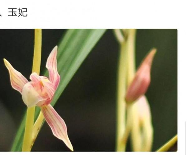 為什麼很多人養花養不活