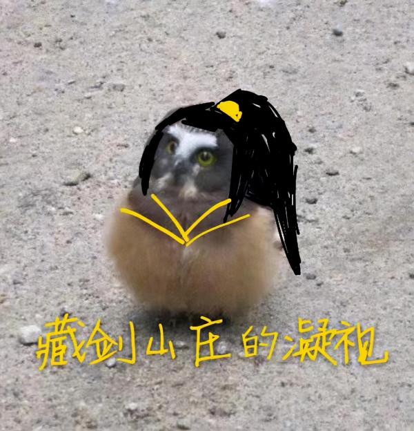 只因ID太沙雕,玩家便被舉報至封號?玩家:正經人誰叫嘰八段了 只因ID太沙雕,玩家便被舉報至封號?玩家:正經人誰叫嘰八段了