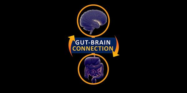 Nature及子刊腸腦軸突破：靶向菌群代謝物改善焦慮/自閉症