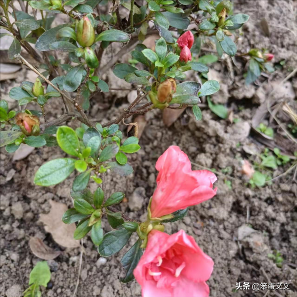 獨處是自我的豐富(二) 獨處是自我的豐富(二)