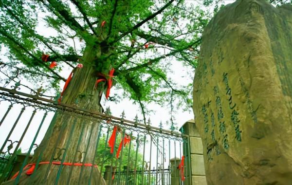 湖北最值得一去的五個古村鎮