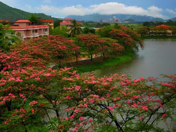 重新認識印度：神秘的地方——印度東北（含錫金）