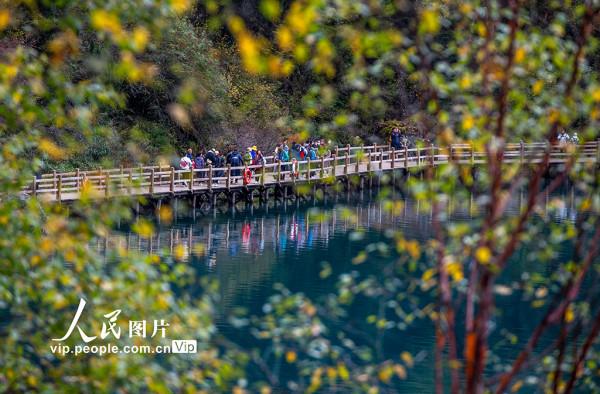四川阿壩：九寨溝秋景迷人