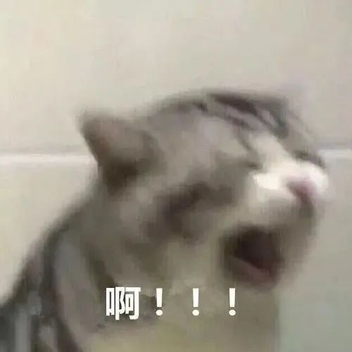 全面解析！日本在留卡你必須要知道的那些事