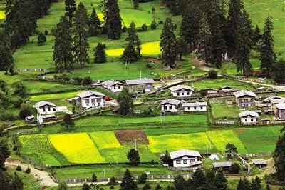 川藏線(318) 騎行第二十二天 通麥一魯朗