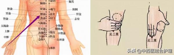 「穴位養生」十大補氣穴位和十大補血穴位