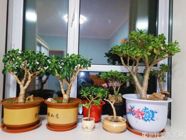 注意!花盆要是太深,養花要注意,很容易爛根 注意!花盆要是太深,養花要注意,很容易爛根