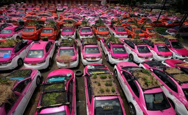 我們人生中最顛覆的衝擊---後疫情時代 我們人生中最顛覆的衝擊---後疫情時代