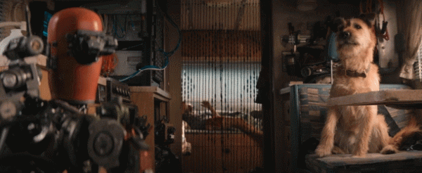 疲了一年的好萊塢大片，終於硬起來了