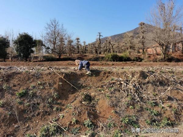 一個人好，還是兩個人好？要我說，經濟獨立，最好