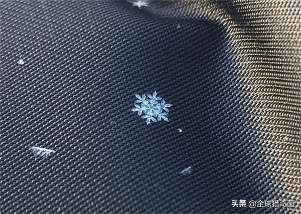 35張“活久見”的完美圖片，強迫症瞬間被治癒了