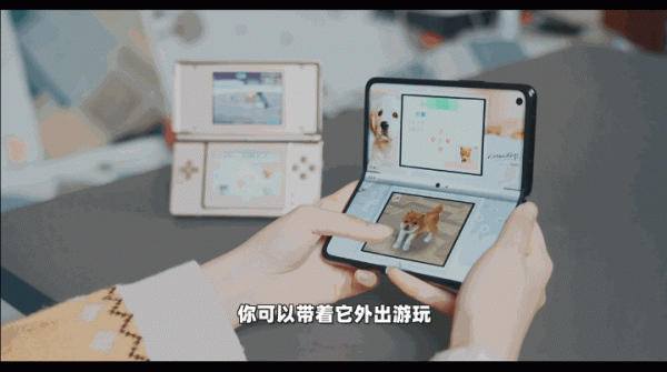 Find N遊戲體驗，除了主流大型遊戲，竟還能執行NDS遊戲