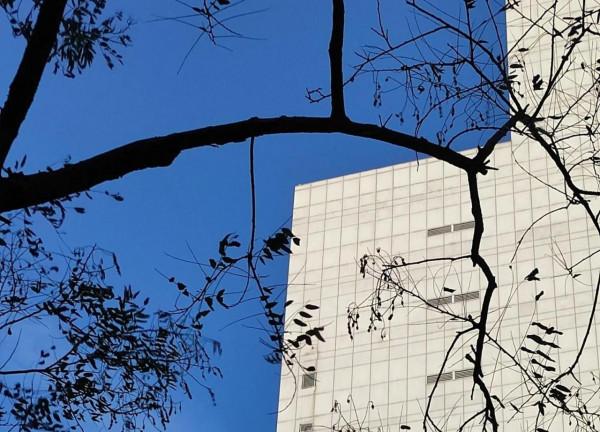 陪娃讀書的苦,誰陪誰知道。只有雞湯沒有雞飼料?對不起我不需要 陪娃讀書的苦,誰陪誰知道。只有雞湯沒有雞飼料?對不起我不需要