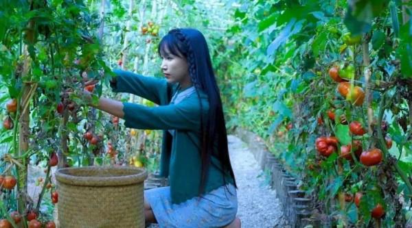 李子柒傳播的十大東方文化十首詩（前五），她與薇婭你更喜歡誰？