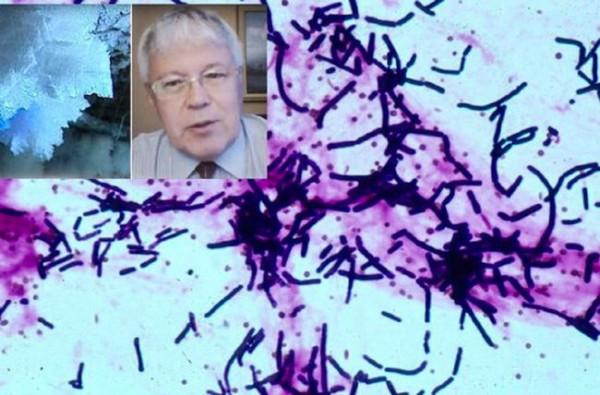 為永保青春，科學家與女模一起注射350萬年前細菌，後來如何？