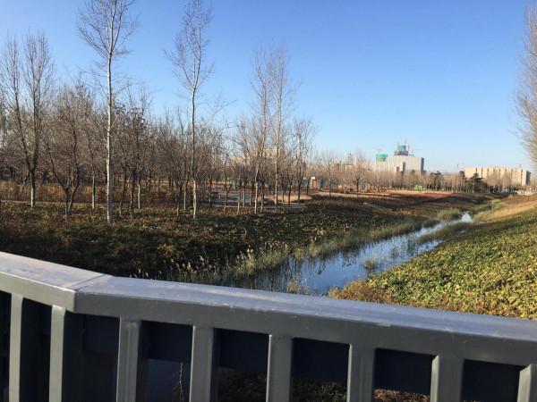 北京溫榆河公園·未來智谷,將環境藝術與科技相融合,詮釋碳中和 北京溫榆河公園·未來智谷,將環境藝術與科技相融合,詮釋碳中和