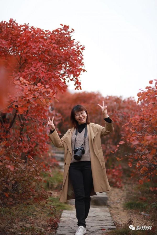 賞紅葉，不能早，也不能晚，時間一定要恰到好處