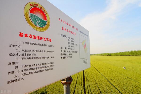 中央農村工作會議釋放8大訊號,鄉村振興,老百姓要把握好機會 中央農村工作會議釋放8大訊號,鄉村振興,老百姓要把握好機會