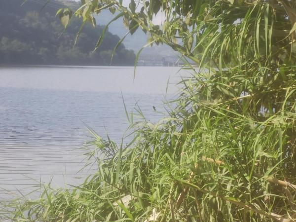 老鷹溪釣魚 老鷹溪釣魚