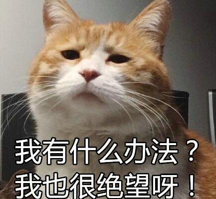 宿舍沒了?多所院校宣佈不再為研究生提供住宿,考生欲哭無淚 宿舍沒了?多所院校宣佈不再為研究生提供住宿,考生欲哭無淚