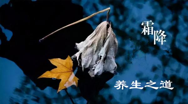 秋天最後一個節氣霜降,“補冬不如補霜降”嗎?漫話節氣養生 秋天最後一個節氣霜降,“補冬不如補霜降”嗎?漫話節氣養生