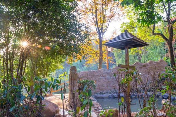 中秋遊玩攻略來了！