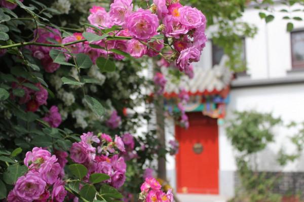 接下來一個月，燕都古城是這樣的