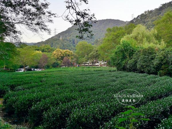 杭州市民每天排隊打山泉水，68歲大爺1次打120斤，稱夠用一個星期