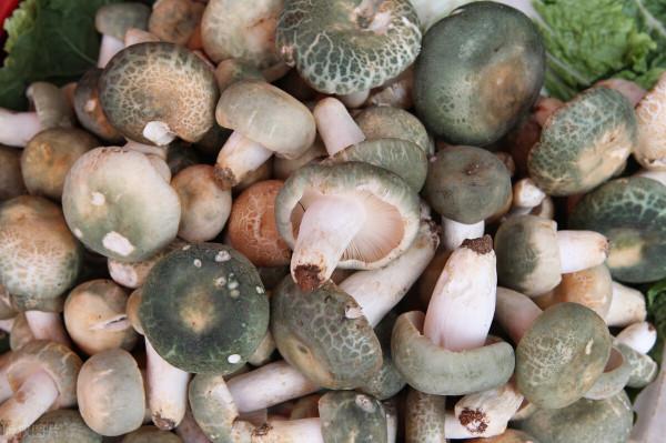 雲南特色美食——吹肝！我們不吹氣球，我們“吹肝”