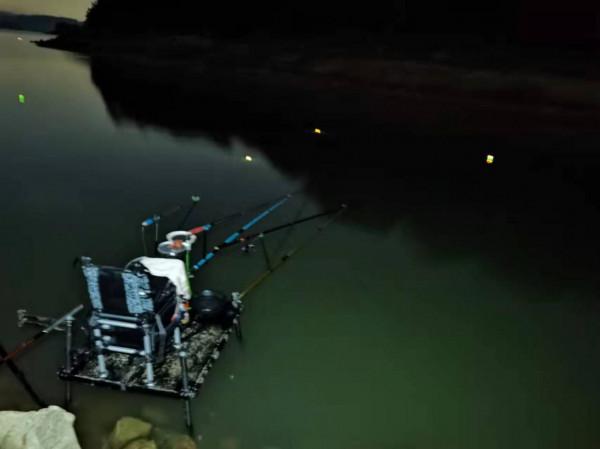 實戰調漂釣鯉魚，散炮誘釣打頻率