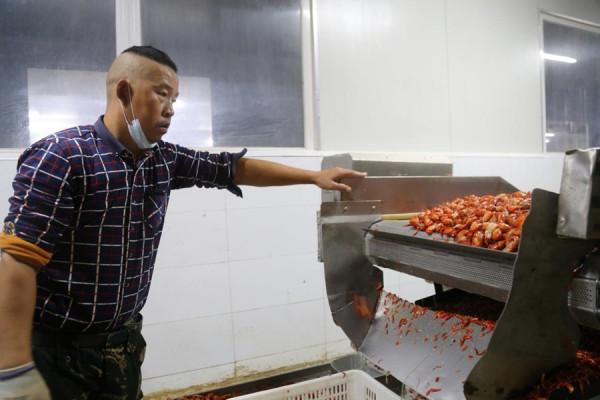 持續最佳化營商環境 助力企業產銷兩旺 持續最佳化營商環境 助力企業產銷兩旺