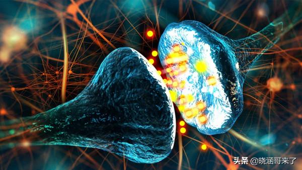 人類是否可以永生？實現永生的幾種方式