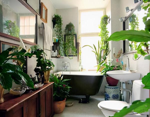 甲醛怎麼去除最有效？用什麼方法去除甲醛最快速？