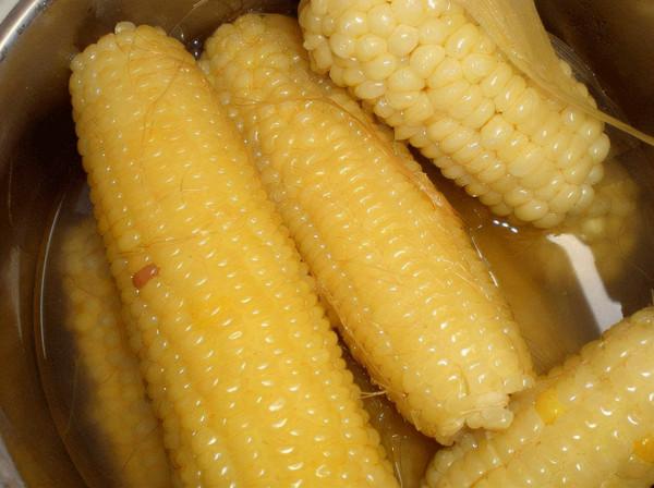 大魚大肉吃多了血脂高？推薦5種平民食物，或有益於養護血管健康