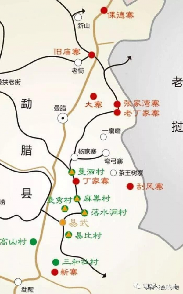 「乾貨分享」詳解易武颳風寨普洱茶