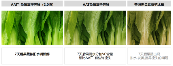 雙十一冰箱選購指南:TCL R640P8-S告訴你大容量才有大幸福 雙十一冰箱選購指南:TCL R640P8-S告訴你大容量才有大幸福