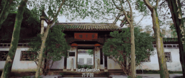 凌晨就開始喝早茶的小縣城,比廣東猛多了 凌晨就開始喝早茶的小縣城,比廣東猛多了