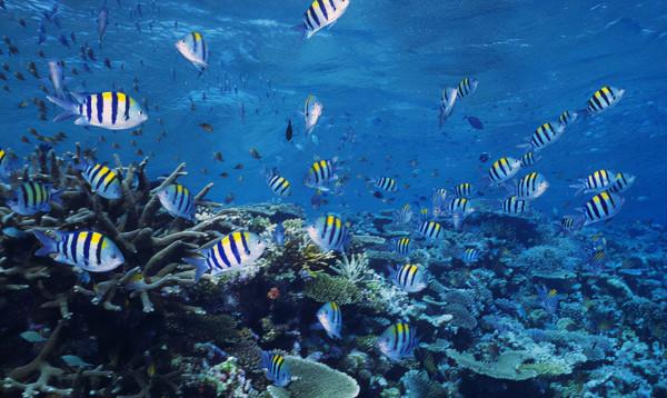 過了50歲，若想預防骨質疏鬆，這3種常見食物要捨得吃