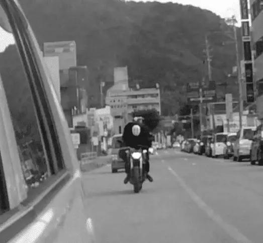 為什麼貓科動物都喜歡這個動作? 為什麼貓科動物都喜歡這個動作?